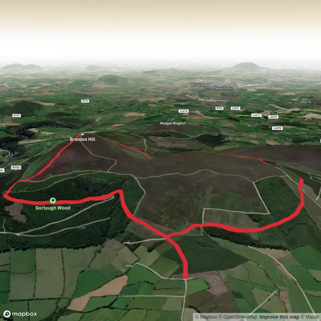 An image depicting the trail Brandonhill Circular and its surrounding area.