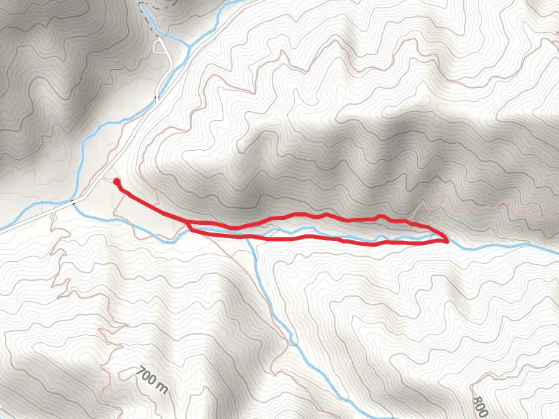 Judge Branch Loop