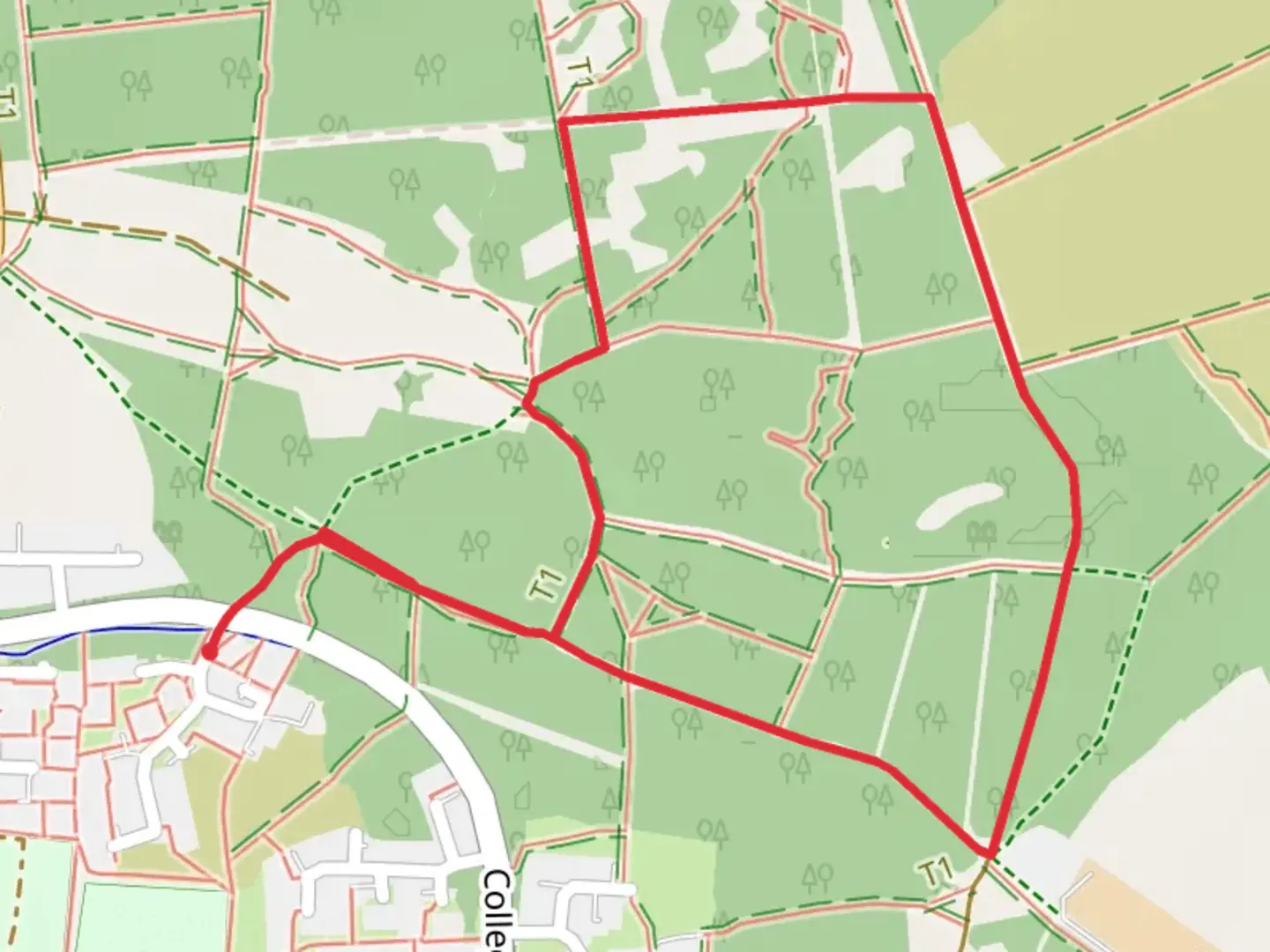 An image depicting the trail Marshall Woods Short Loop and its surrounding area.