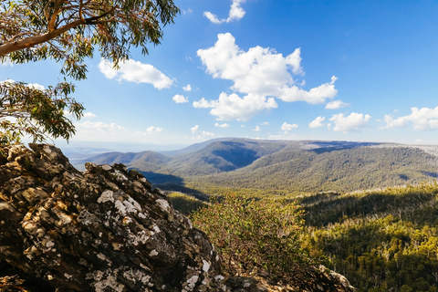 Razorback Loop Trail