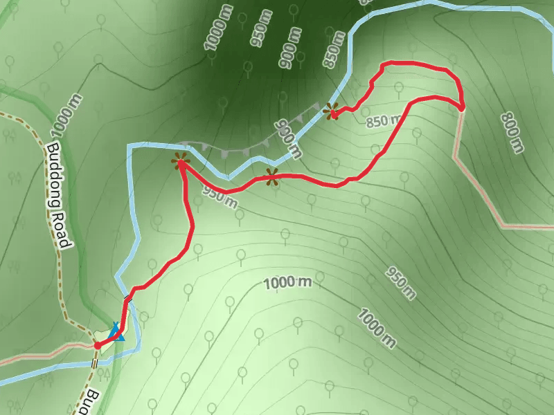 Buddong Falls Track