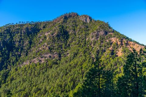 Pico Bejenado Loop from Buenavista de Arriba