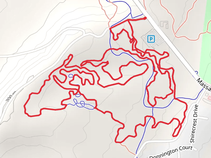 Parker Loop