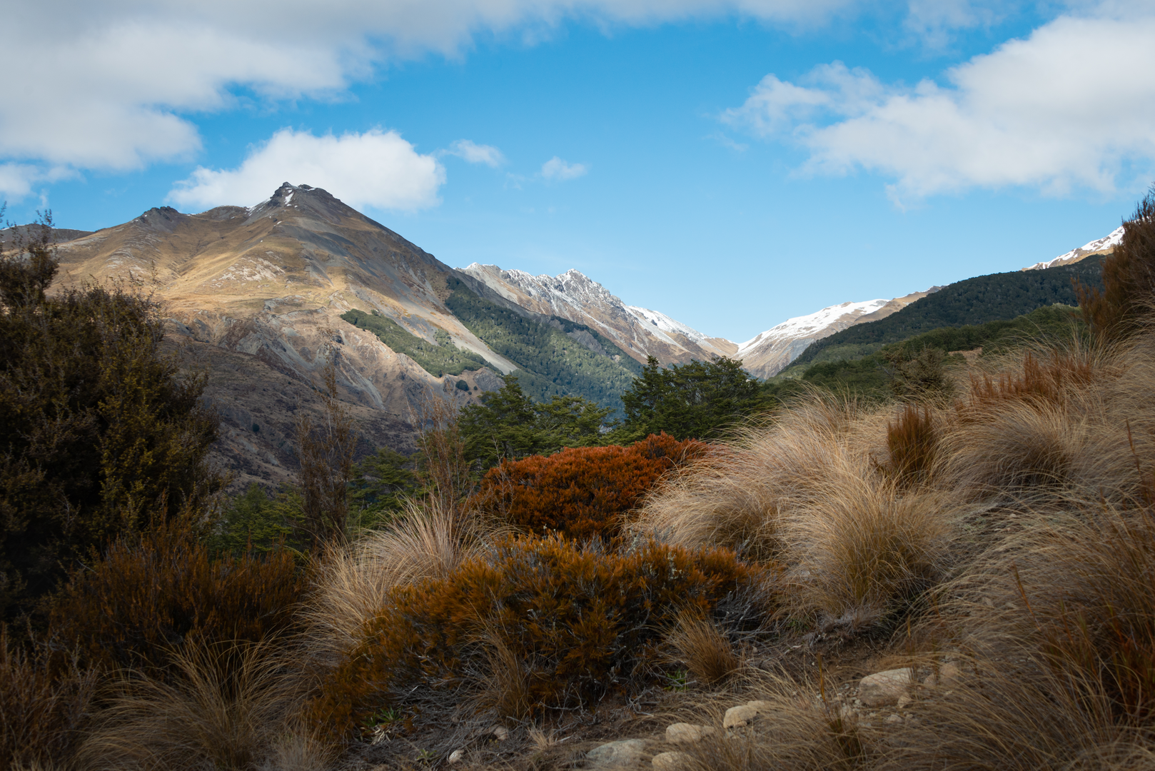 An image depicting the trail Bealey Spur Track and its surrounding area.