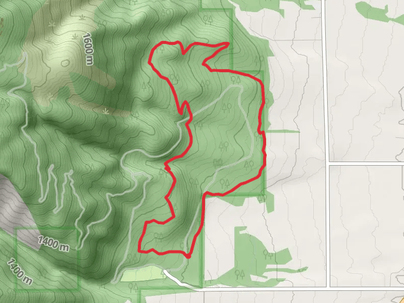 Larry Creek Loop Trail