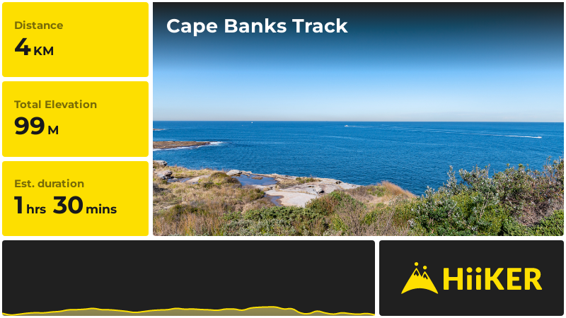Cape Banks Track | Randwick | New South Wales