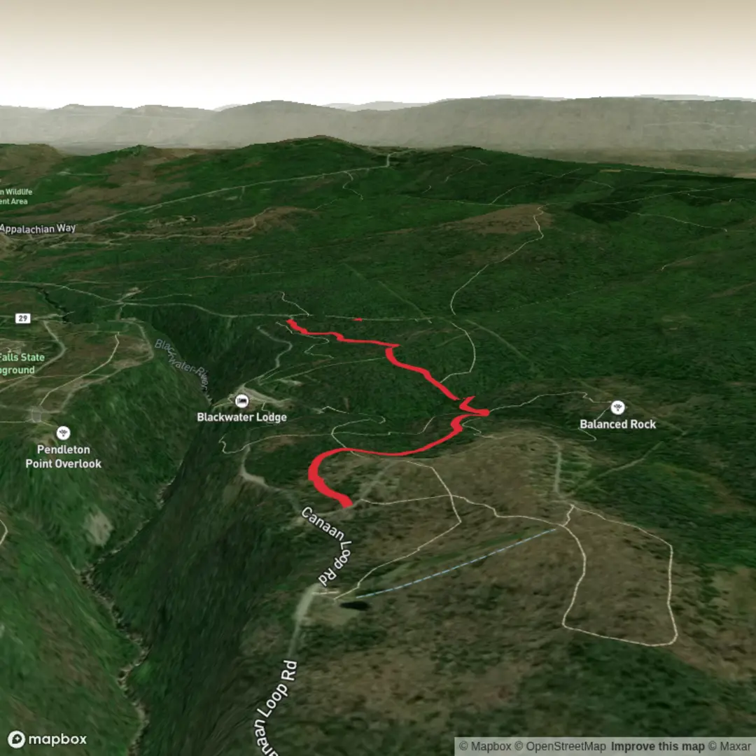 An image depicting the trail Red Spruce Trail and its surrounding area.