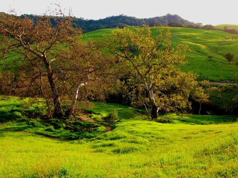 Filipponi Trail and Johnson Ranch Loop
