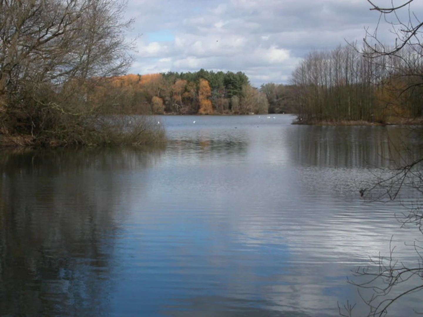 An image depicting the trail Frampton on Severn Loop and its surrounding area.
