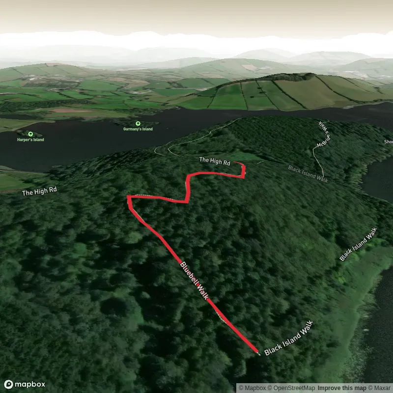 Siúlán an Chloigín Ghoirm - Bluebell Walk