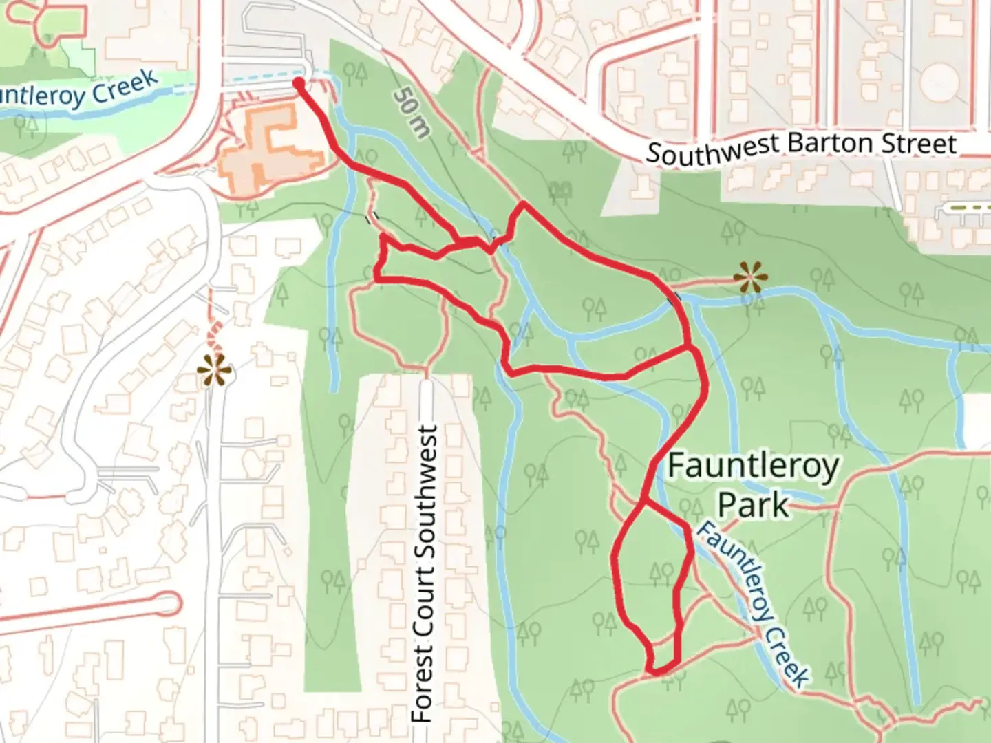 An image depicting the trail Fauntleroy Creek and its surrounding area.