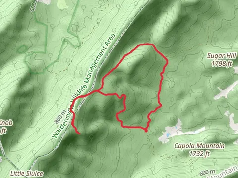Sulphur Spring Gap Trail Tuscarora Loop Trail