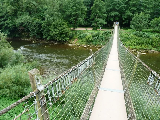 Lord's Wood Loop - Symonds Yat East