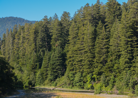 Drury-Chaney Loop Trail