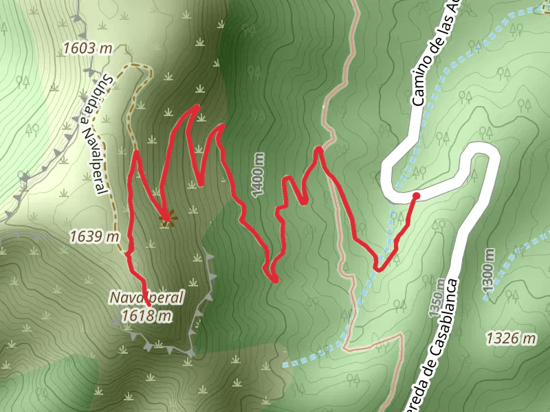 Acebeas - Navalperal Summit