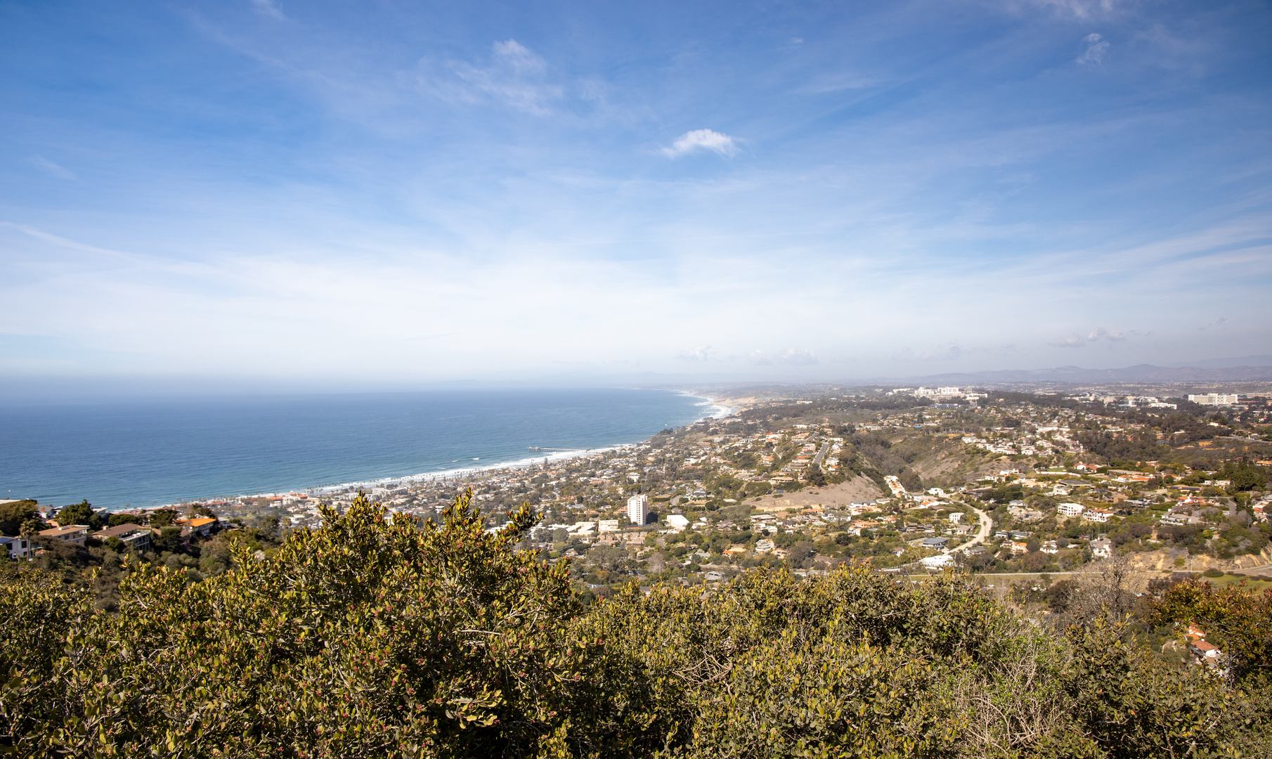 An image depicting the trail La Jolla Natural Park Walk and its surrounding area.