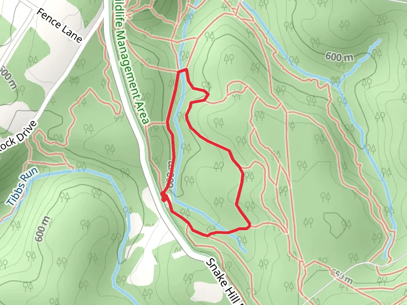 Sidewider Loop