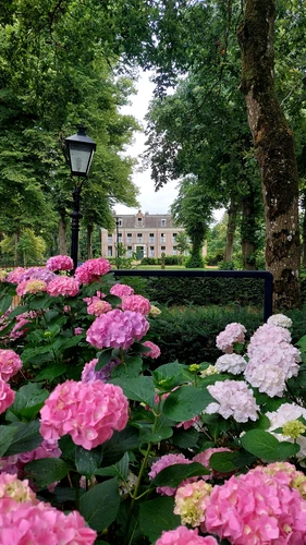 Wandeling van Echtener Esch