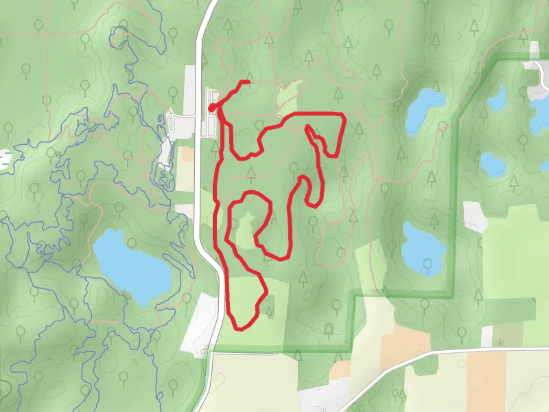 Blue Loop