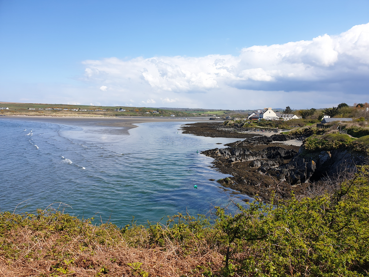 An image depicting the trail Newport Town and Estuary and its surrounding area.