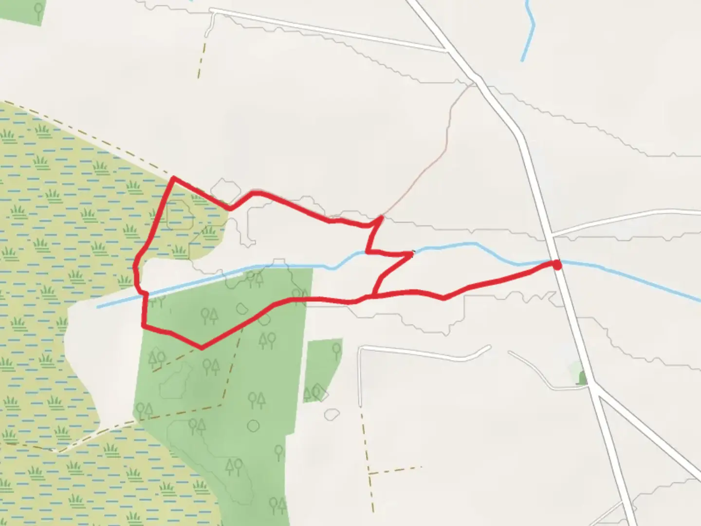 An image depicting the trail Killure Loop Walk and its surrounding area.