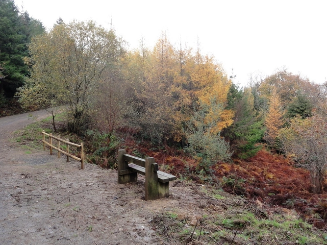 Abbeyford Woods