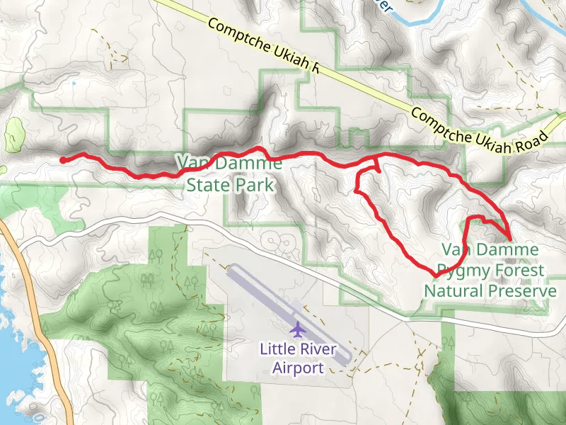Fern Canyon Scenic Trail and Old Logging Road Trail