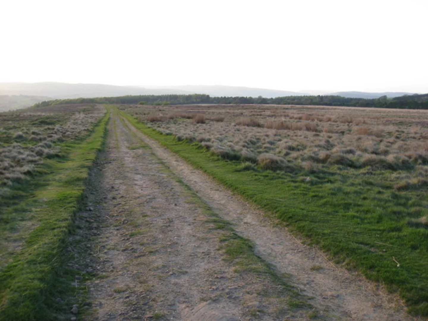 An image depicting the trail Rabbit Warren and its surrounding area.