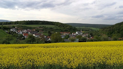 Bad Kissingen to Stralsbach Walk via Luitpoldeiche
