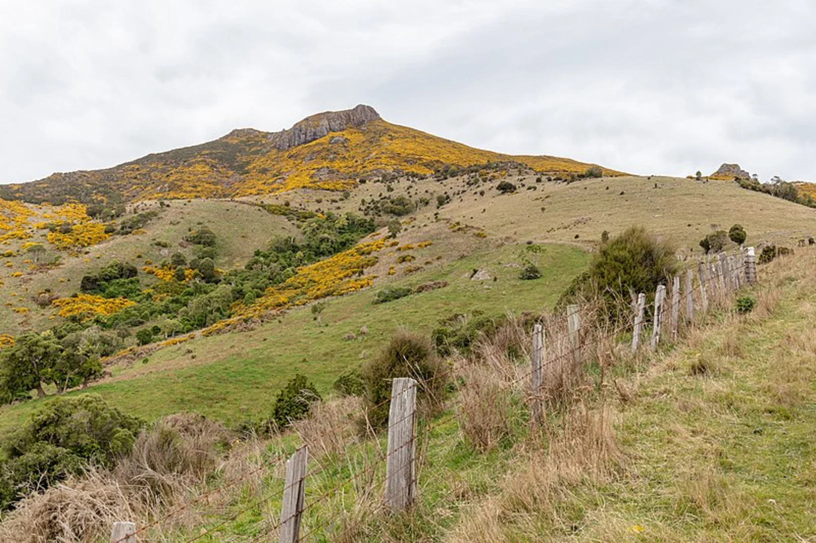 An image depicting the trail Purple Peak Track to Paripai Track and its surrounding area.