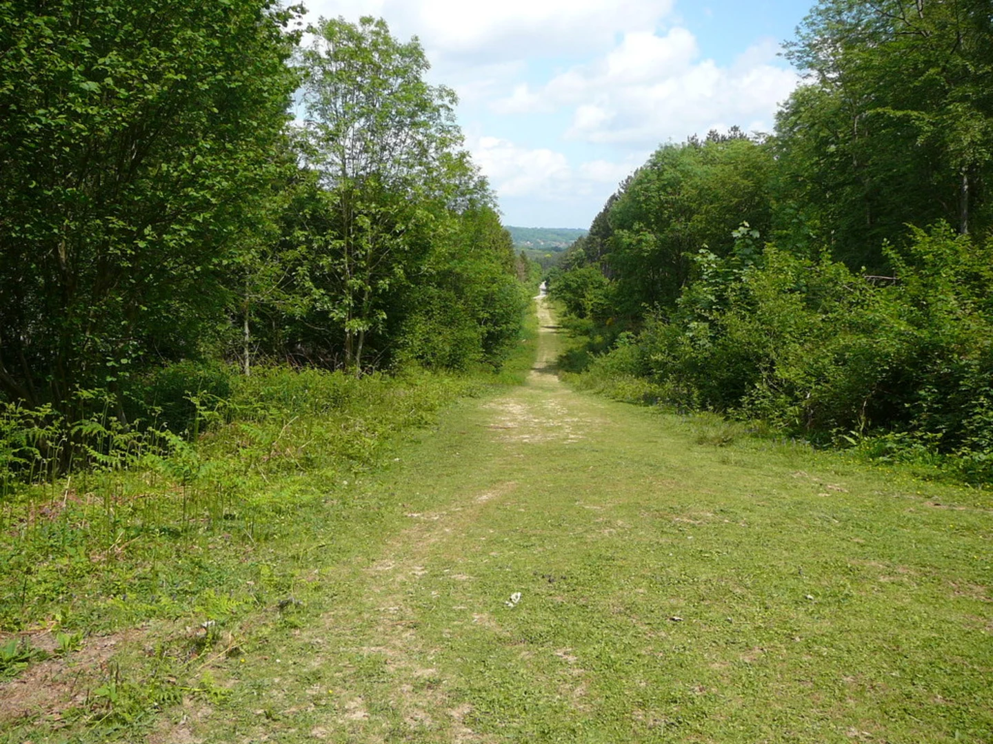 An image depicting the trail Great Wood and Cherry Gardens Loop and its surrounding area.