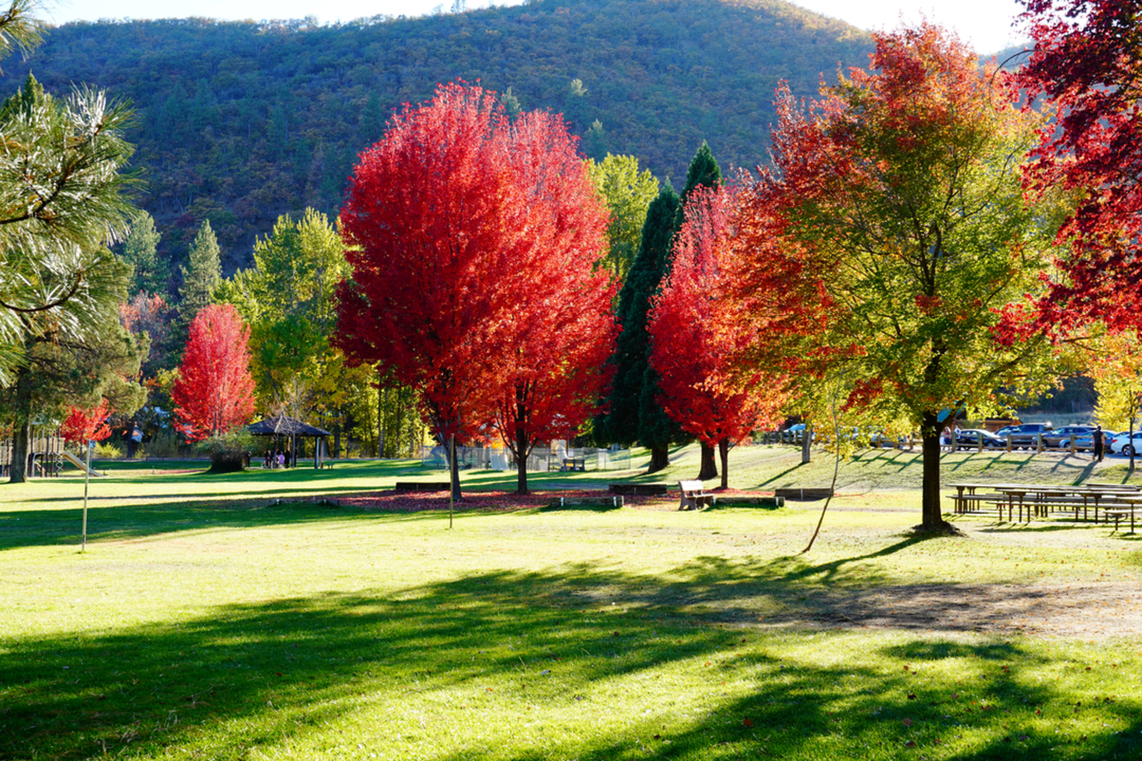 An image depicting the trail Greenhorn Reservoir and Greenhorn Park Loop and its surrounding area.
