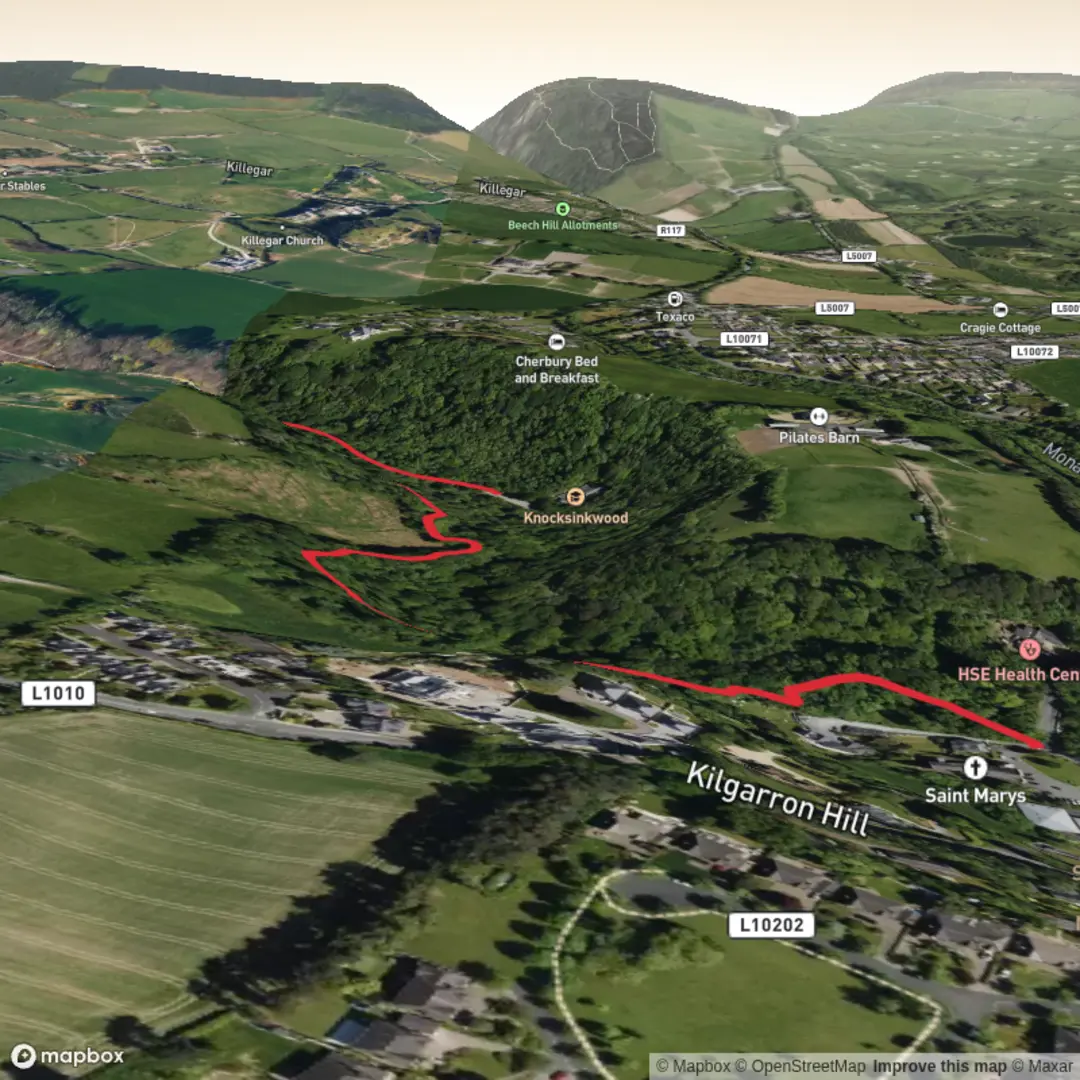 An image depicting the trail Knocksink Wood Walk and its surrounding area.