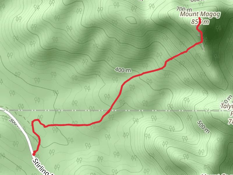Mt Magog Walk