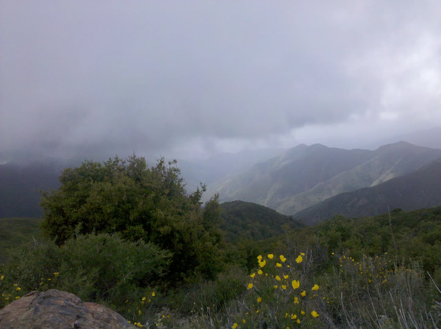 An image depicting the trail Trabuco Creek,Trabuco Canyon and Los Pinos Peak Loop Trail and its surrounding area.