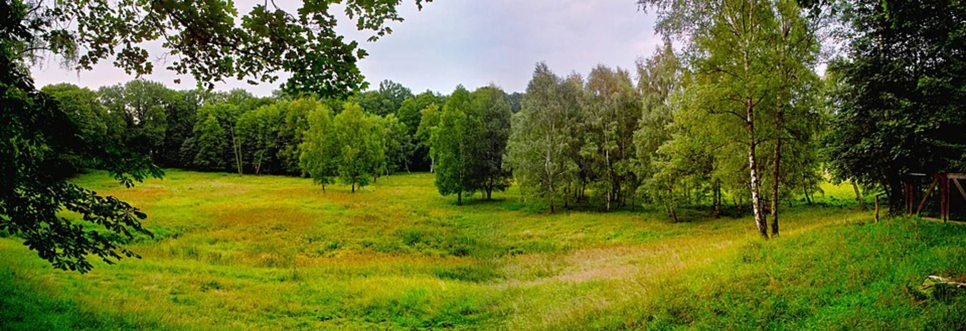 An image depicting the trail Grunewald to Krumme Lanke Walk and its surrounding area.