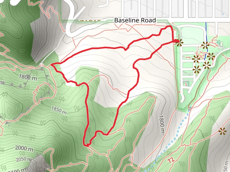 Chautauqua and Meadow Loop Trail