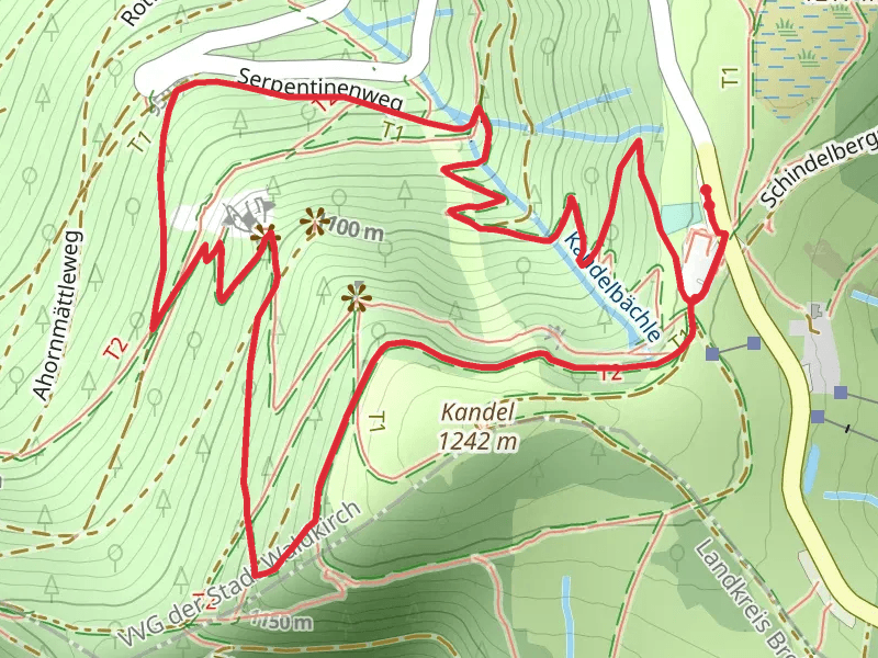 Kandel Loop