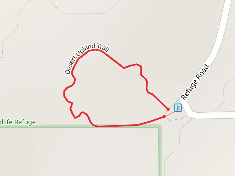 Desert Upland Loop Trail