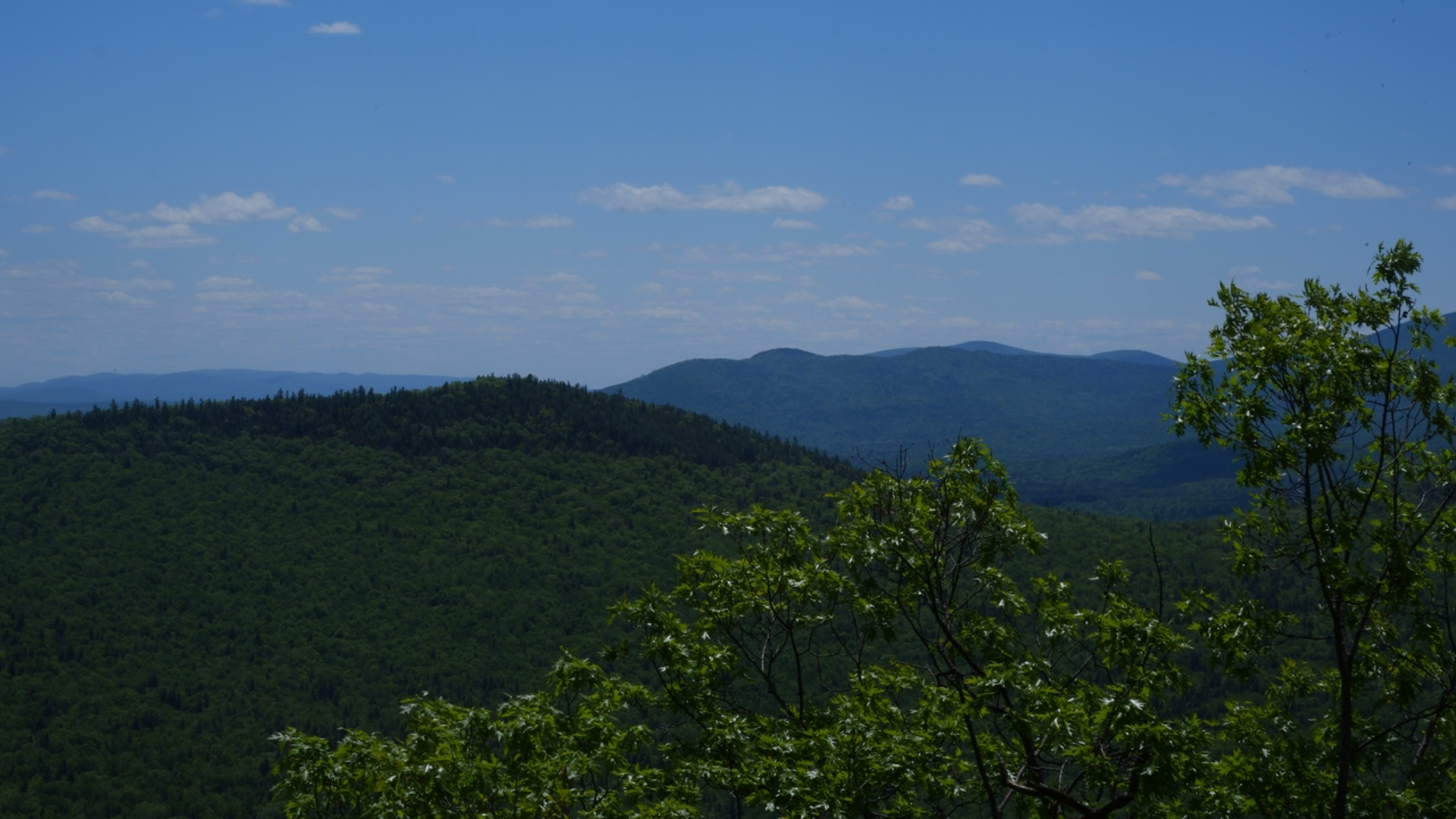 Blueberry Mountain and Ridge Trail | Oxford County | Maine