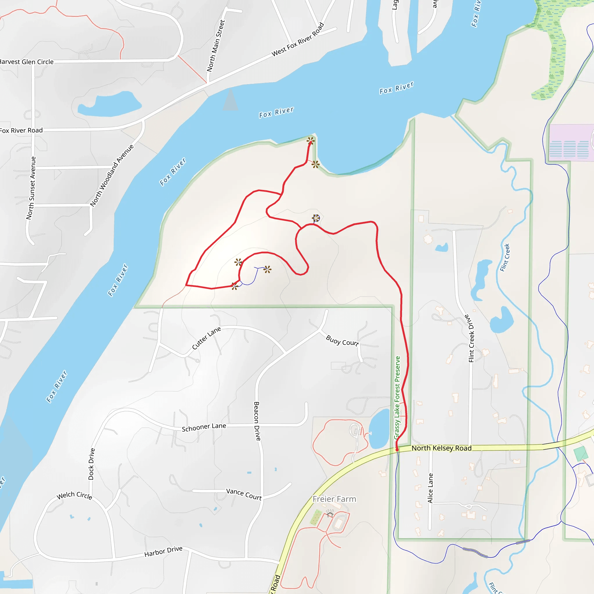 Grassy Lake Forest Preserve Loop mobile static map