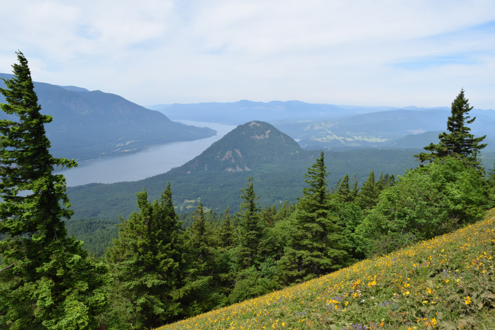 An image depicting the trail Dog Mountain Summit Trail and its surrounding area.