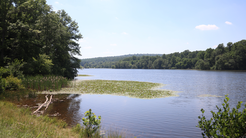 Hoopwell Lake and Boone Trail