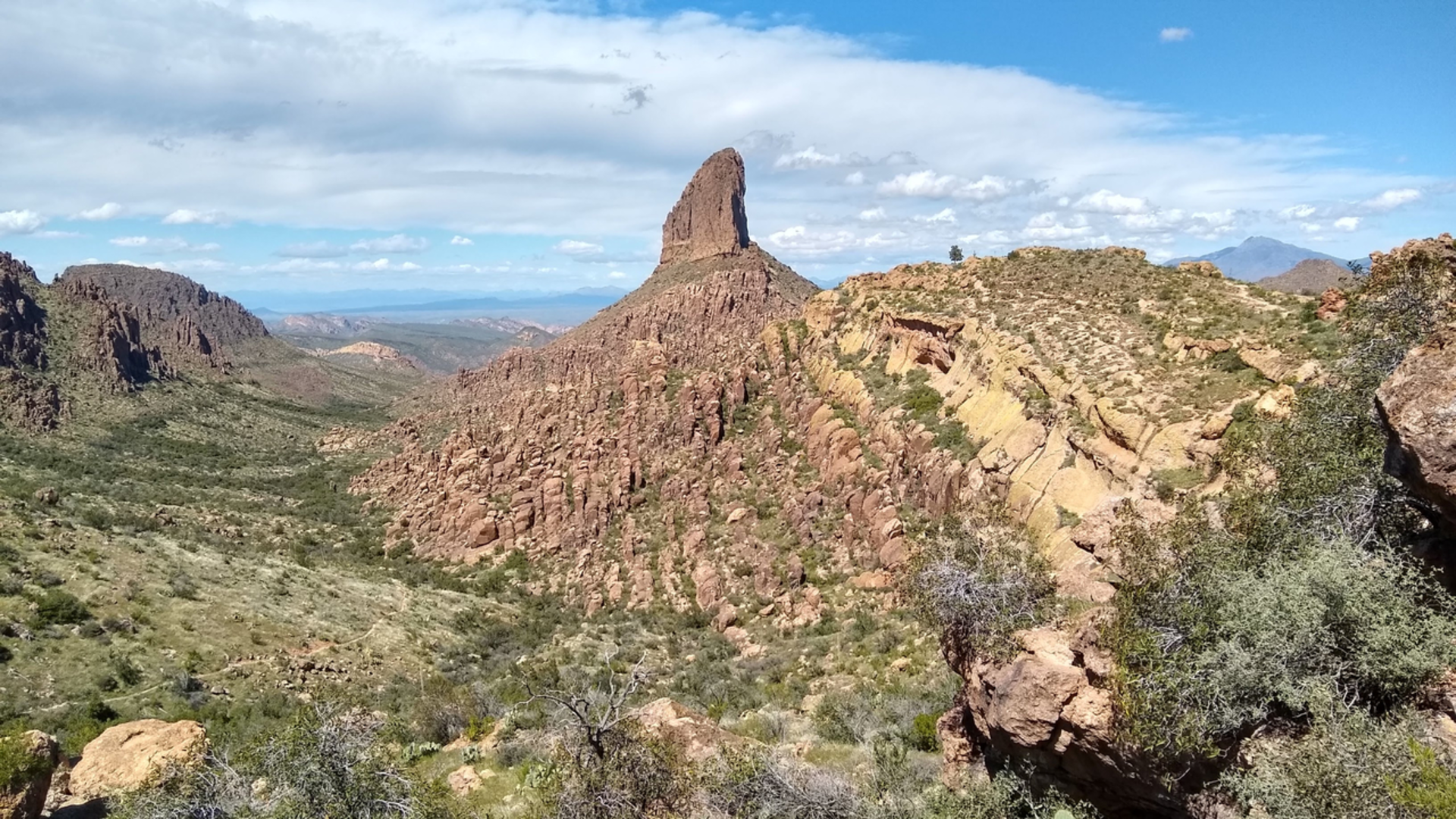 An image depicting the trail Coffee Flat Trail and its surrounding area.