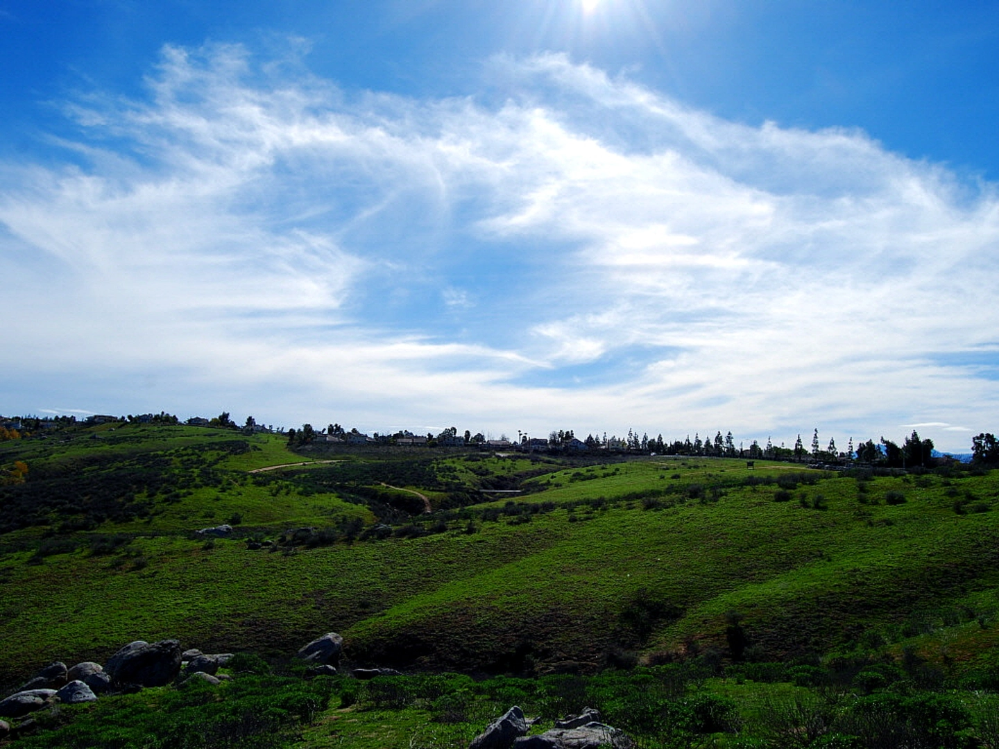 An image depicting the trail Johnson Pasture Motorway, Thompson Creek and Sycamore Canyon Loop Trail and its surrounding area.