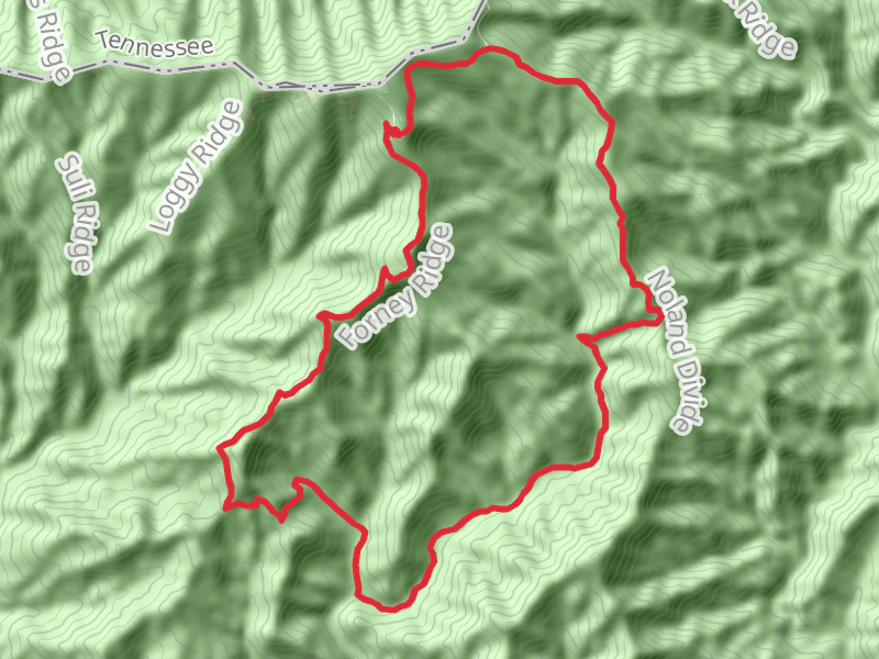 Forney Ridge, Andrews Bald, Springhouse Branch and Noland Creek Loop Trail