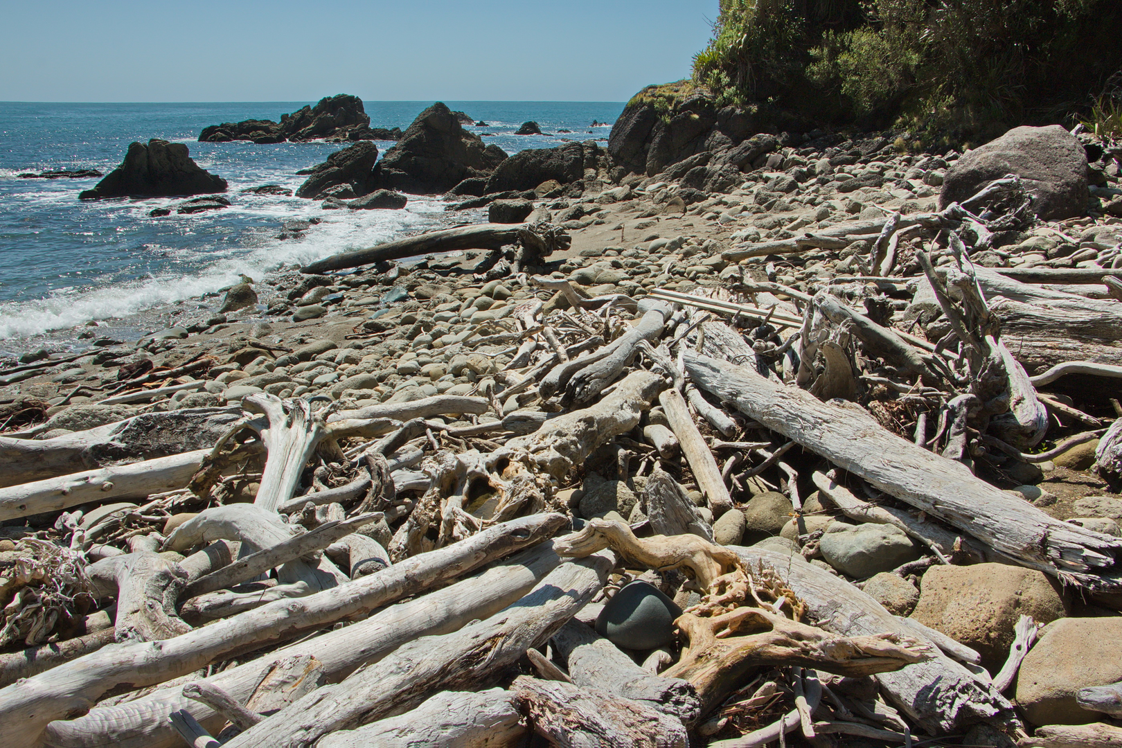 An image depicting the trail Wharekai - Te Kou Walk and its surrounding area.