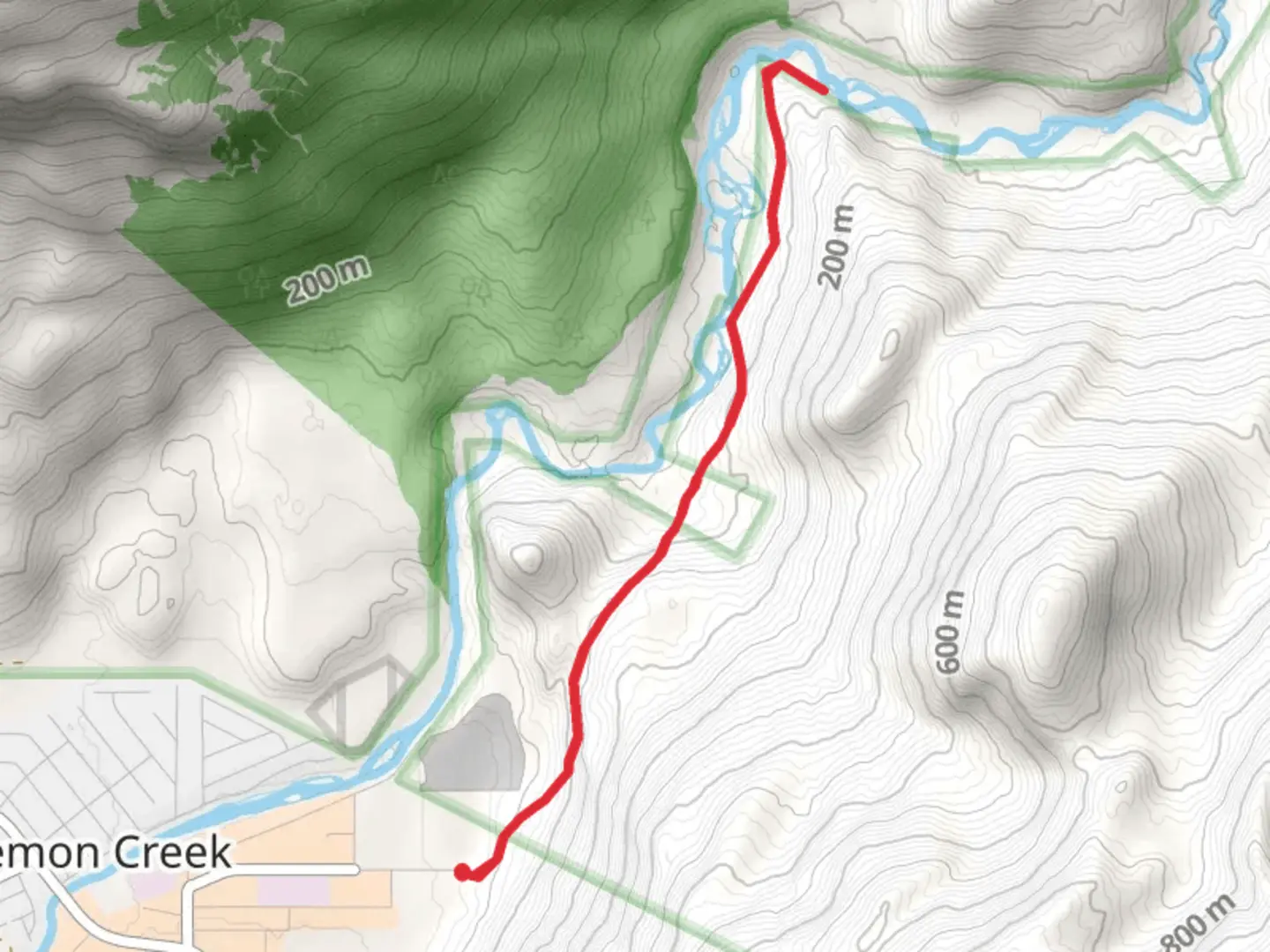 An image depicting the trail Lemon Creek Trail and its surrounding area.