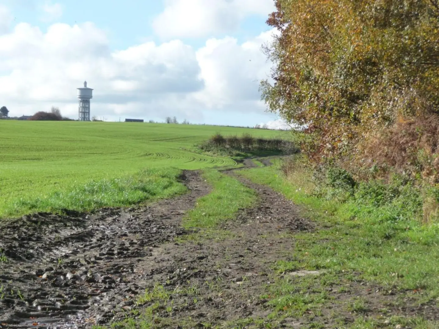 An image depicting the trail Leeds Country Way and Wakefield Way Loop and its surrounding area.