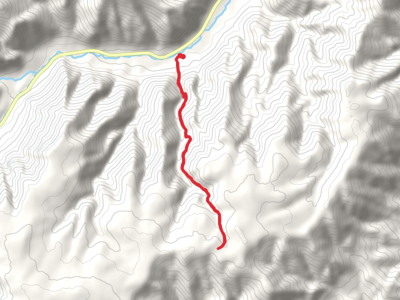 Corral Creek Trail